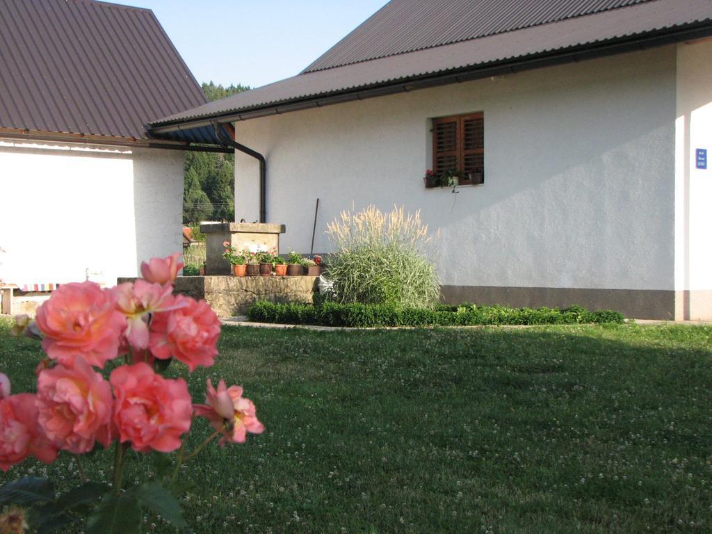 House Nada Apartman Donji Babin Potok Kültér fotó