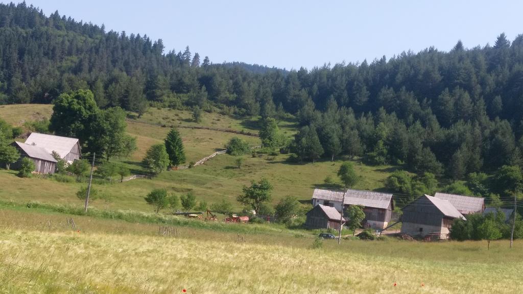 House Nada Apartman Donji Babin Potok Kültér fotó
